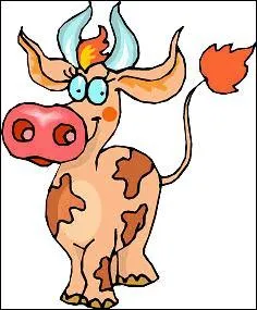 Grande pièce cylindrique de fromage :