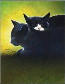 Pour finir, qui sont ces deux-là ?