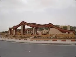 Dans quel pays se trouve Djelfa ?