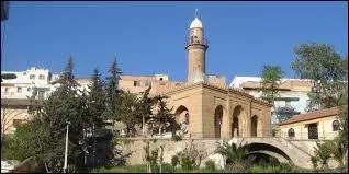 Dans quel pays pouvez-vous visiter Tiaret ?