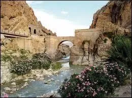 Dans quel pays se trouve Biskra ?