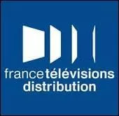 Quelle chaîne du groupe France Télévisions est représentée par un logo orange ?