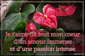 La jalousie horrifie l'amour.