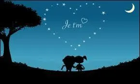 Un amour, ça ne ressemble à rien.