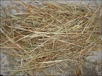 Quel est cet aliment pour chevaux ?