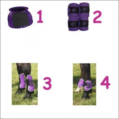 Quelles sont les quatre principales protections des membres ?