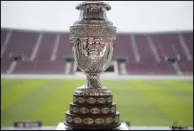 Combien de Copa Amérca ont-il remporté ?