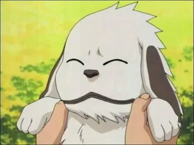 De qui est-il le chien ?