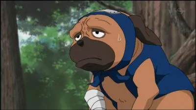 Comment s'appelle ce chien ?