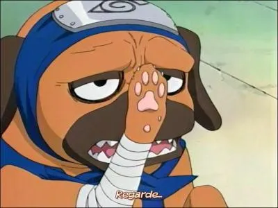 Par qui est-il invoqué ?