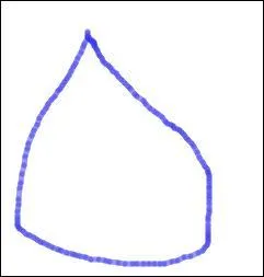 Bon, mon premier dessin raté ! Bonne chance pour deviner !