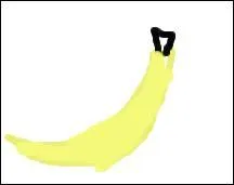 J'ai honte de mes dessins ! Mais celui encore plus que les autres ! Si vous n'avez pas deviné c'est une....