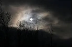 Quelques mots qui ..., &agrave; minuit