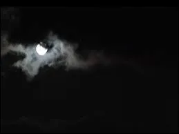 Il m'a tout donn&eacute;, puis s'est effac&eacute; sans me...