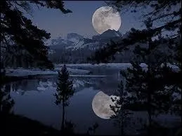 Un moment, un instant, j'ai cru...