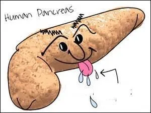 Que décomposent les [-------] ? Réponse q10.