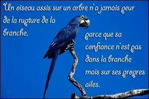 Avez-vous eu un instant les foies en faisant ce questionnaire ? Non, donc vous n'avez pas ------.