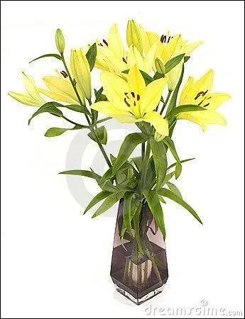 V&eacute;hicule ancien &agrave; deux roues et tir&eacute; par des chevaux :