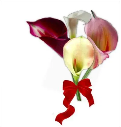 Cogner, frapper, donner un coup :