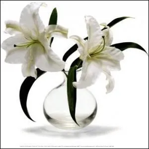 En cuisine, fait de beurrer un plat :