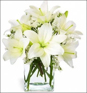 Caf&eacute;-concert populaire, &agrave; la fin du XIXe si&egrave;cle :