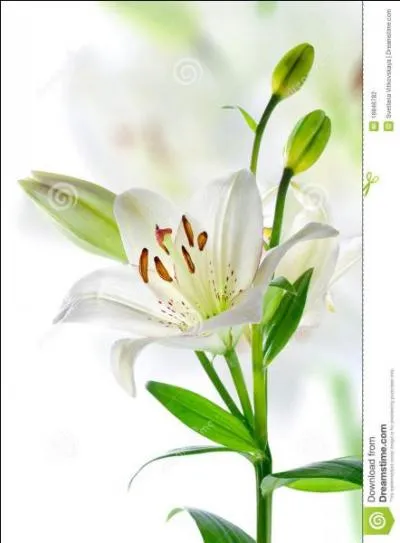 &Agrave; eau, plaquette ou de table, r&eacute;cipient destin&eacute; &agrave; conserver ou pr&eacute;senter le beurre :