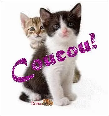 Côtoie, fréquente de façon constante :