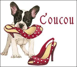 Jeu de cartes wallon :