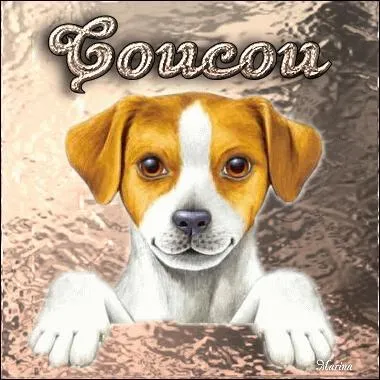 Appareil servant à l'incubation artificielle des ufs :