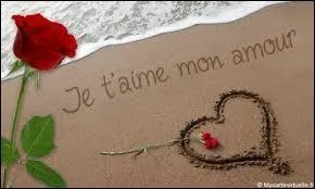 Qui a dit : Veux-tu qu'on t'aime ? Ne t'aime pas. ?
