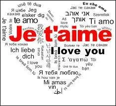 Qui a dit : L'amour aime imparfaitement. ?