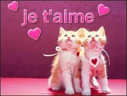 Qui a dit : Le public aime souffrir par procuration. ?