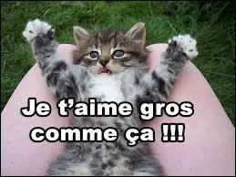 Qui a dit : La nature aime se cacher. ?