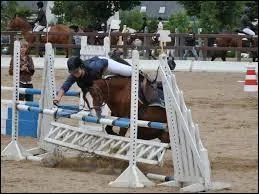 Qu'est-ce que le cheval fait le plus ? (en cours)