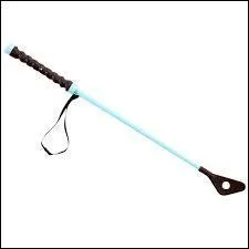 Quelle est l'aide la plus utilisée que le cheval déteste ? (autre que les jambes)