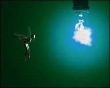 La chanson "L'Apologie", sortie en 1998, amena le groupe qui en est l'auteur à avoir quelques déboires avec la justice. Cette dernière n'ayant pas apprécié les paroles vantant clairement l'usage du cannabis... Quel est ce groupe français ?