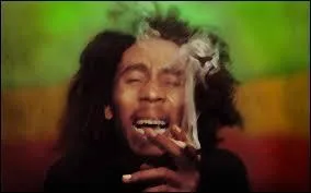 Sorti en 1978, cet album de Bob Marley and the Wailers fait partie des nombreuses productions musicales prônant les bienfaits de la marijuana. D'ailleurs, le nom de cet album signifie "marijuana" en Jamaïque. Cela s'intitule :