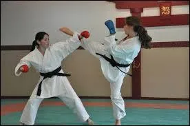 Au karaté, il y a les katas et les...