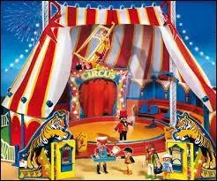 Quelle est la bonne traduction du mot "Cirque" ?