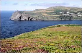 Est-ce de l'anglais ou de l'allemand ? I like singing.