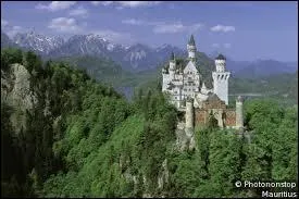 Est-ce de l'anglais ou de l'allemand ? Ich habe einen Hund.