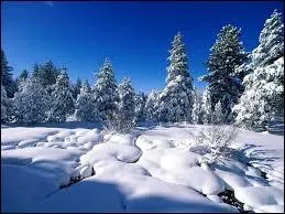 Le mois de la Saint Valentin.