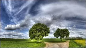 Quel mois n'a pas encore été cité ?