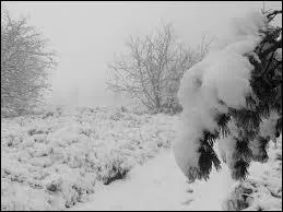 C'est le dernier mois de l'année !