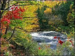 Ce mois est le mois de la rentrée des classes !
