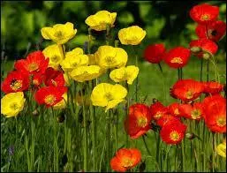 Ce mois est connu comme étant le mois des examens.