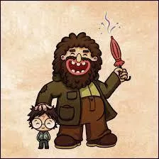 Après le fâcheux incident, Hagrid perdit toute confiance en lui. Quelles créatures ennuyeuses enseigna-t-il à ses élèves ?
