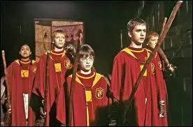 Pour tenter de remporter le match, l'équipe de Gryffondor dut s'entraîner :