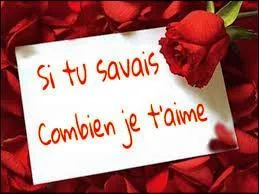 Aime celui qui t'aime, et sois heureuse en lui.