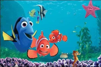 Dans quel océan vivent Marin, Némo et Dory ?